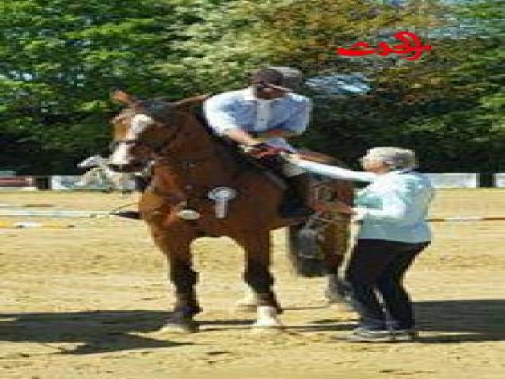 إنجاز سوري جديد للفروسية في ألمانيا