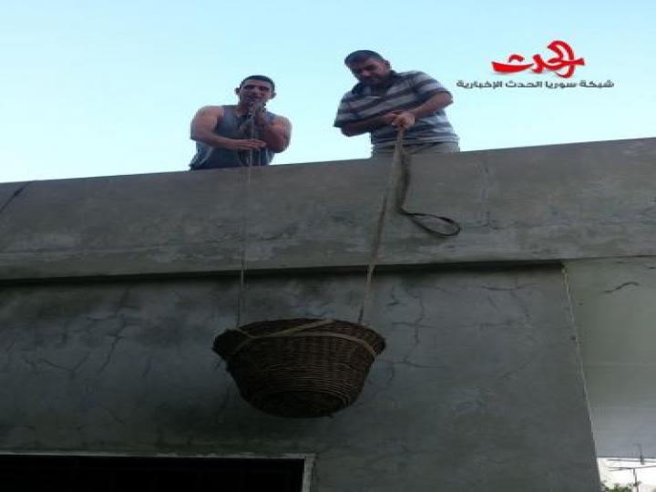 سلق الحنطة من تقاليد قرية قلاطية في وادي النصارى بحمص 