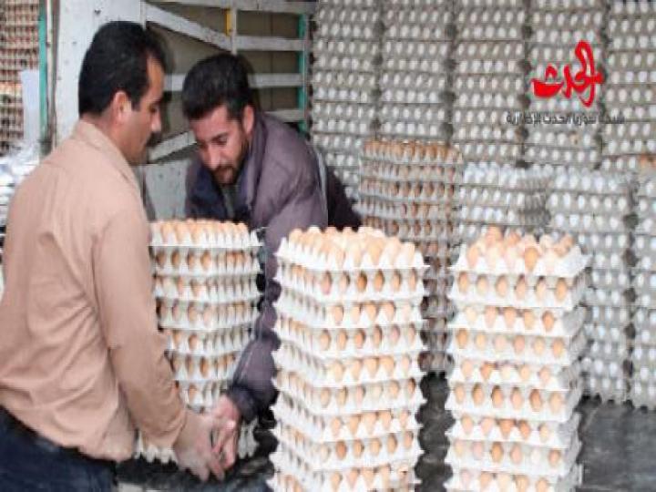 هل يجاكر التجار الحكومة؟ … البيض يرتفع والفروج ينخفض !!