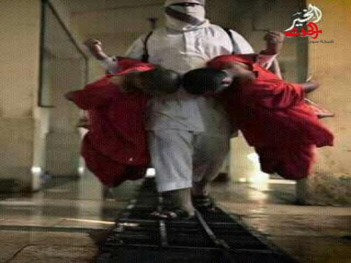 بالصور.. داعش يضحي بـ19 شخصاً كالمواشي!