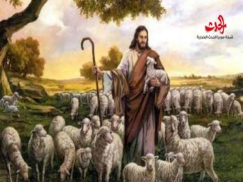 الراعي والنعجة 