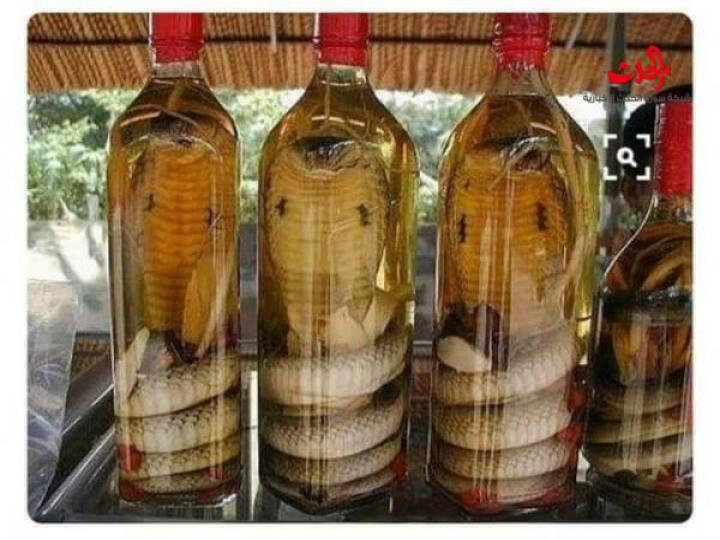 طعام لا نقبله  بالصور