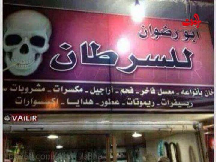 فقط في مصر