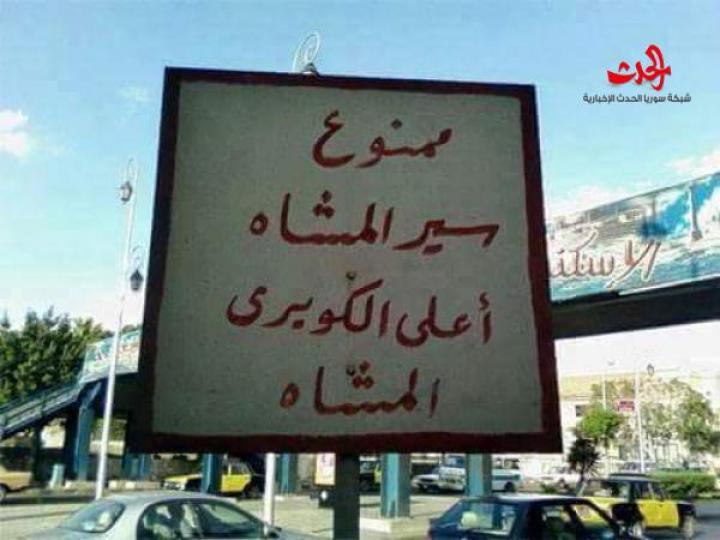فقط في مصر