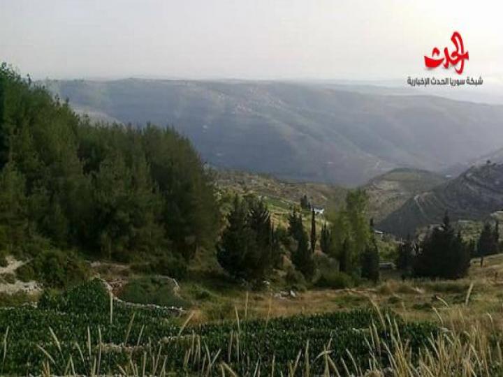 شق عملاق في جبل بالساحل السوري يثير الريبة! (صورة)