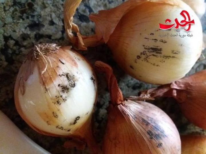 احذروا البصل عند ظهور اللون الأسود !