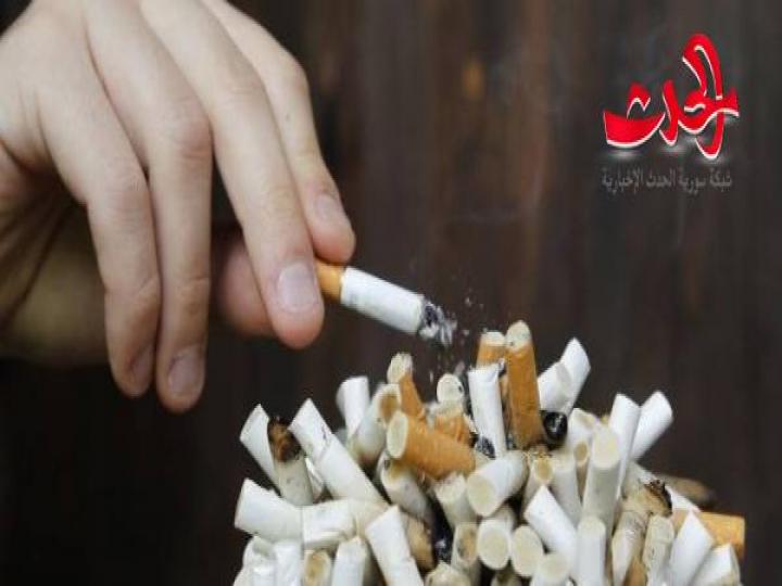 دراسة حديثة النعناع أو الشوكولاتة يساعد بإقلاع عن التدخين