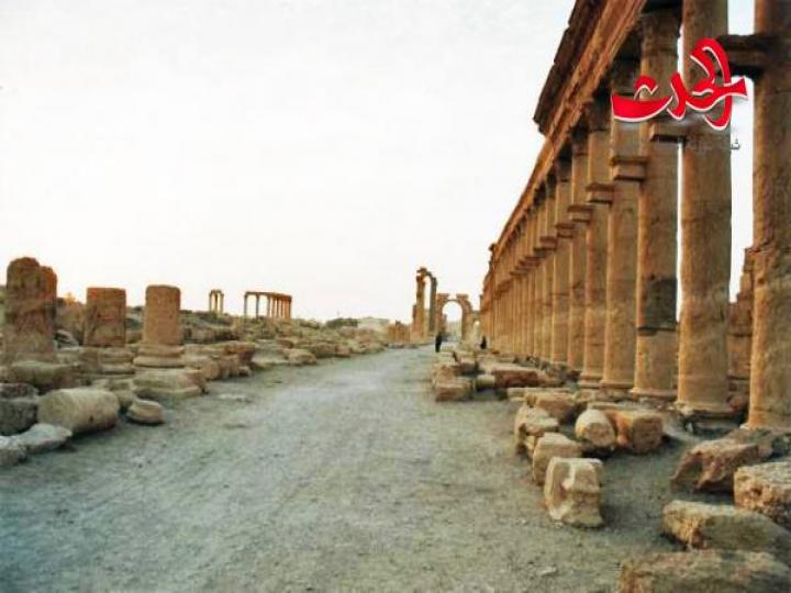  إعادة تأهيل إنارة شوارع وأحياء مدينة تدمر 