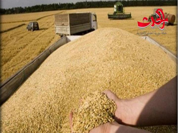 «الســـورية للحبوب»: ترد...ظروف الأزمة فرضت علينا اتخاذ إجراءات جديدة.. وهي لا تخالف القوانين