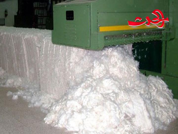 مدير محلج العاصي :البدء بتوريد بالات القطن المحلوج إلى شركتي الغزل في جبلة واللاذقية