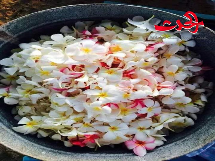 أمل الزعبي  إلى أين لا أدري