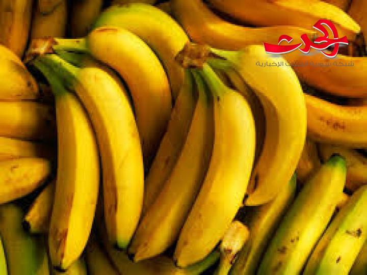 مدير الاقتصاد في وزارة الزراعة: لم يصدر صدور أي قرار من الوزارة باستيراد مادة المانجو من السودان