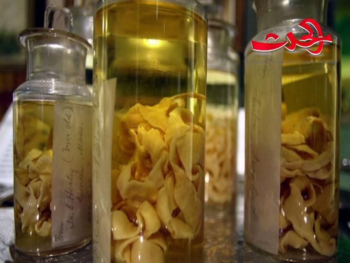 "الدودة الشريطية" تعيش داخلك ؟