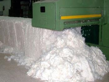 مدير محلج العاصي :البدء بتوريد بالات القطن المحلوج إلى شركتي الغزل في جبلة واللاذقية