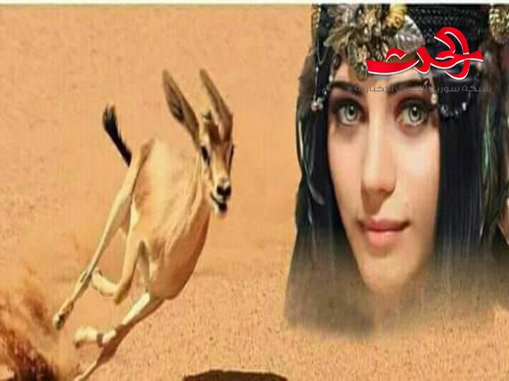 في عزاء فكرة بقلم الشاعرة هناء الغنيمي
