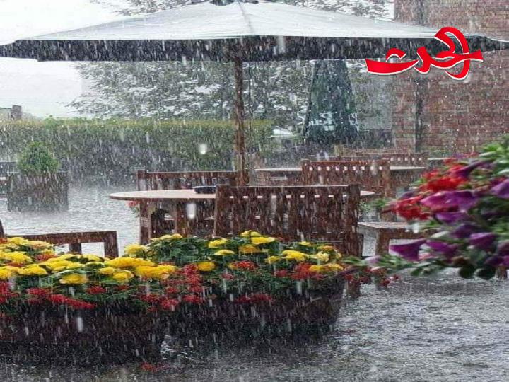 رصيف عتيق بقلم الشاعرة نداء قرحيلي