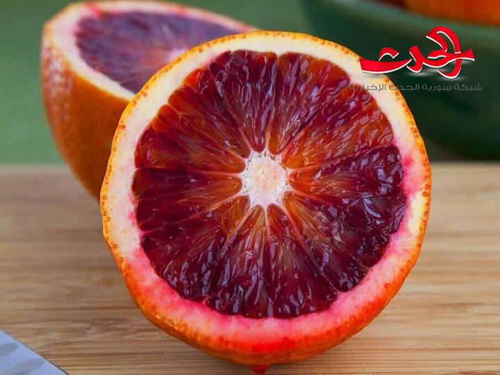 هيئة الصادرات: تسويق أكثر من 1500 طن حمضيات إلى القرم 