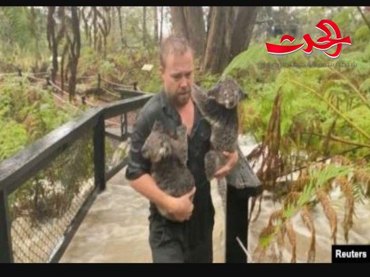 العواصف تخمد الحرائق شرق استراليا
