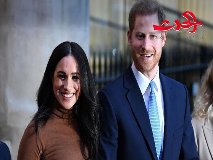 رسوم متحركة تجسد أحداث هاري وميجان