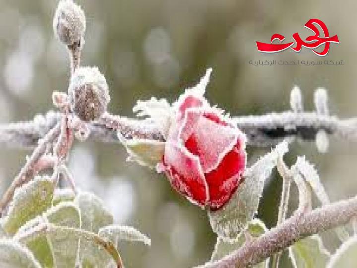 تحذيرات من تشكل الصقيع والضباب في الأيام القادمة وتحسن في درجات الحرارة