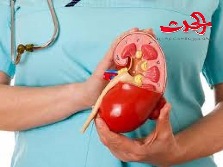 الاغذية المناسبة في حالة حصى الكلى
