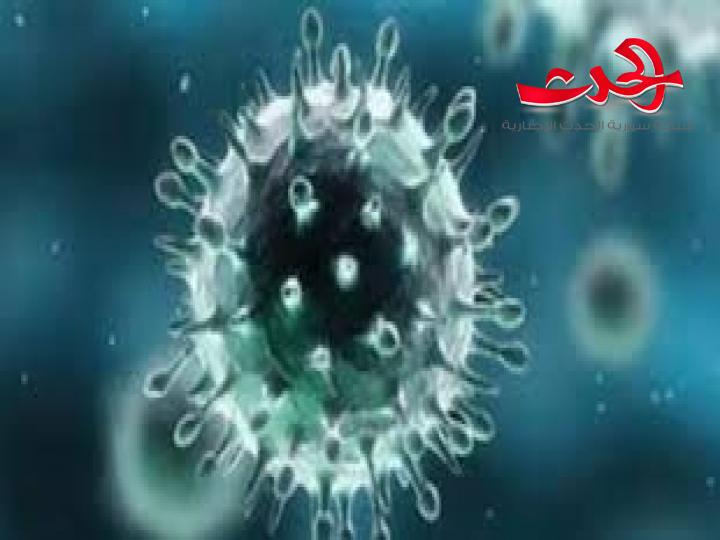 لا صحة لوجود كورونا في اللاذقية