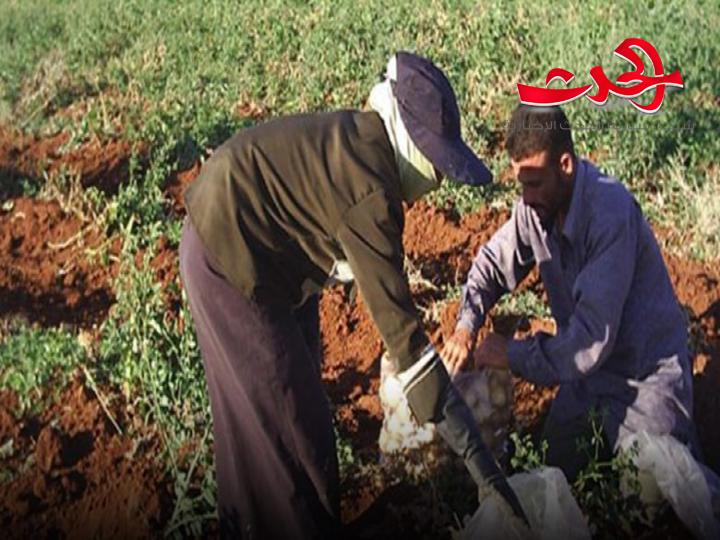 بعد رفع سعر البنزين..الحكومة ترفع أسعار أسمدة أساسية 100 بالمئة!