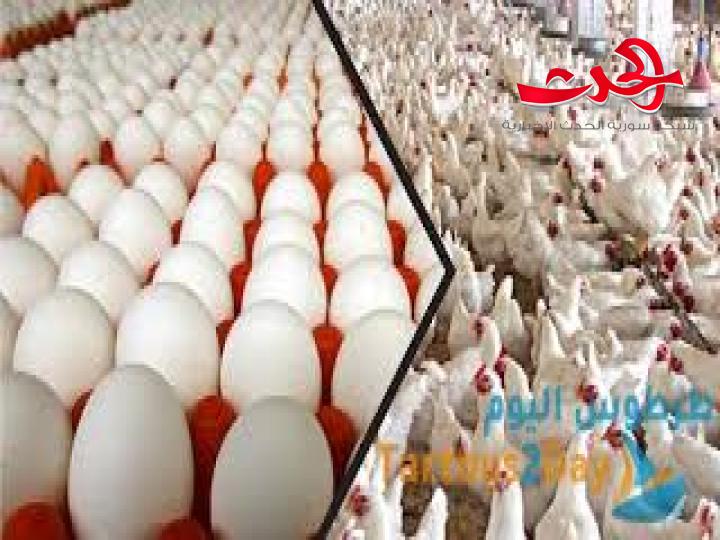 ارتفاع كبير في اسعار الفروج والبيض.. والسبب المواطن