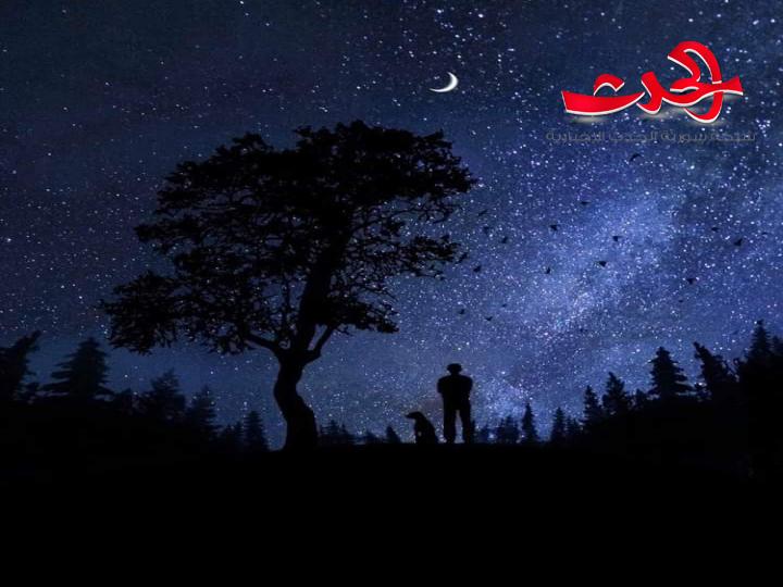 الطريق المزدحم بقلم الكاتبة نتالي دليلة