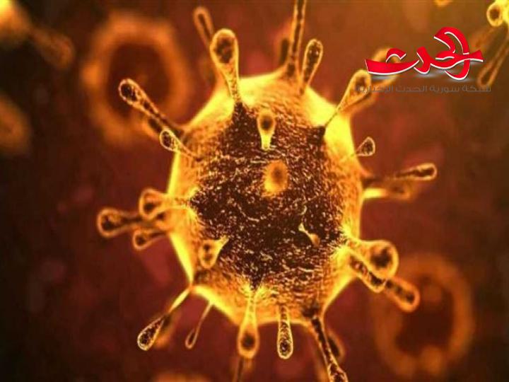 كورونا يحوي ٨ سلالات تجوب العالم