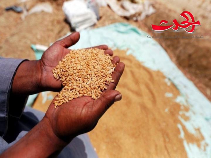وصول الدفعة الاولى من القمح الروسي