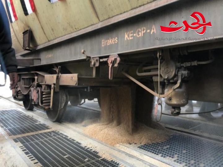 بعد وصوله إلى المرافئ.. البدء بتحميل القمح الروسي عبر القطارات