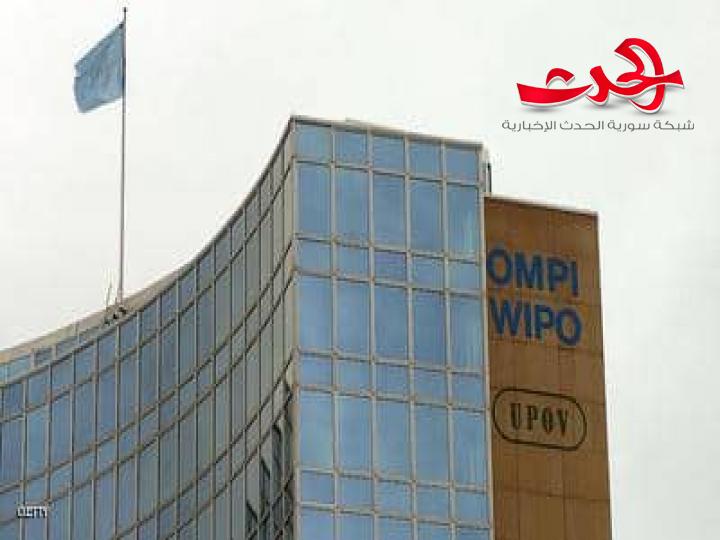 الصين تتفوق على الولايات المتحدة وتزيحها عن عرش براءة الاختراعات