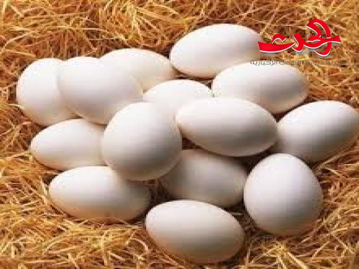 كورونا ترفع من تكاليف انتاج البيض في سورية فكيف ذلك؟