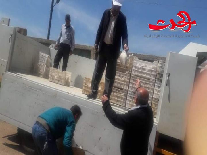 السورية للتجارة تسيير سيارات جوالة لريف درعا وافتتاح منافذ في ازرع ونوى والصنمين والتربية والخدمات