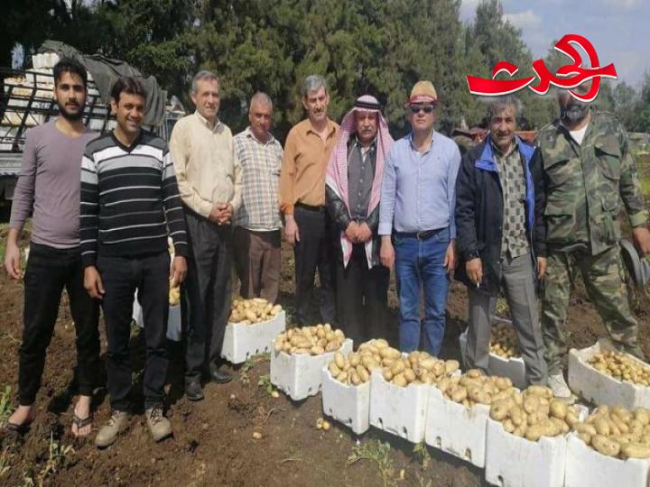  بعد أيام على رفضها السماح بتفريغ البطاطا المستوردة.. والسورية للتجارة تتبرأ!
