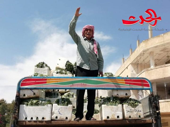    تدخل إيجابي لمحافظة درعا رحلة الخضار من الأرض للسوق