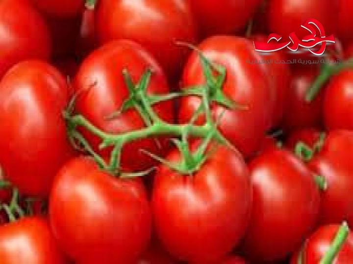 بعد ان وصل سعرها ل 1000 ليرة للكيلو.. توقعات بانخفاضها لل 100ليرة