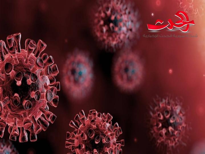 الاتصال الجنسي هل ينقل كورونا؟.. دراسة صينية توضح