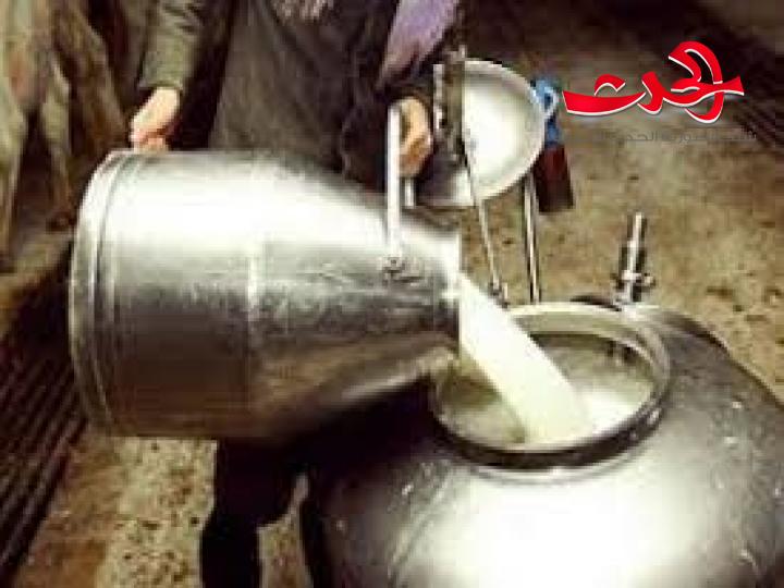 التهريب أحد أسباب ارتفاع الحليب.. فما هي الاسباب الثانية