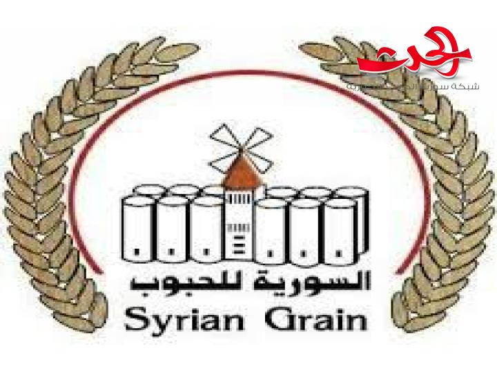 السورية للحبوب ... تتخذ الإجراءات اللازمة لاستلام الاقماح لعام 2020 والبدء باستلام 150 مليار ل.س من أصل 450مليار ل.س