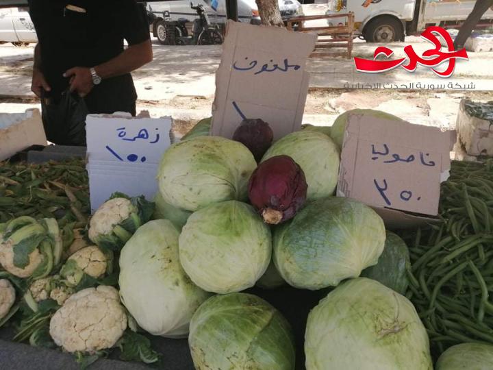 انخفاض بالأسعار وجودة في المنتجات بالسوق الشعبي بدرعا