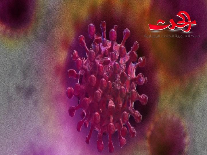 علماء يحذرون من قدرة كورونا على دخول الجسم عبر عضو هام!