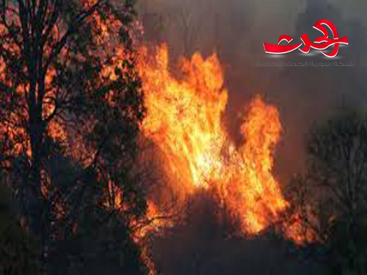 اخماد حريق ضخم نشب في منطقة اللجاة.. والسبب؟