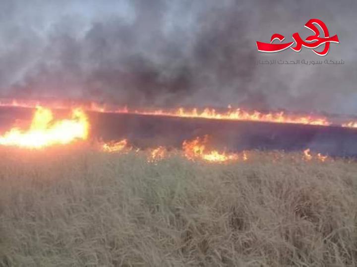 زراعة درعا.. خطة لمواجهة حرائق الأراضي الزراعية في الصيف
