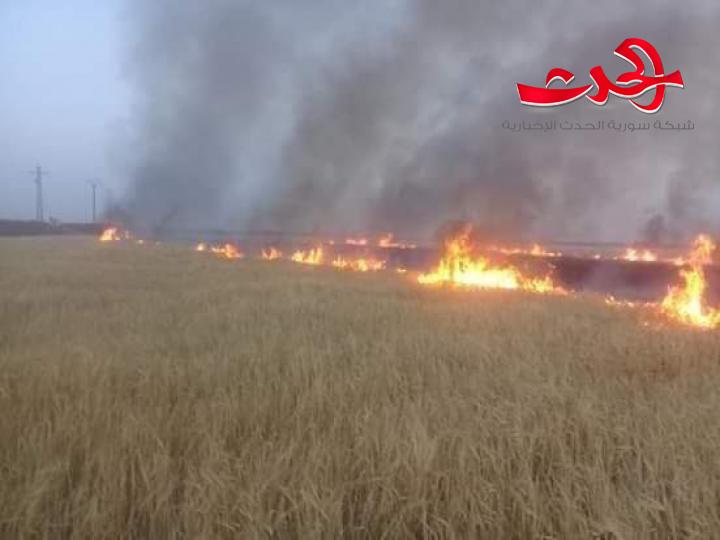 زراعة درعا.. خطة لمواجهة حرائق الأراضي الزراعية في الصيف