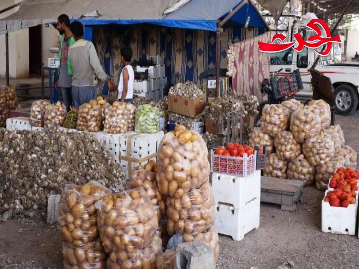 زيادة في كميات التصدير.. عبد الرحيم رحال: التصدير لا يؤثر في أسعار  المنتجات الزراعية