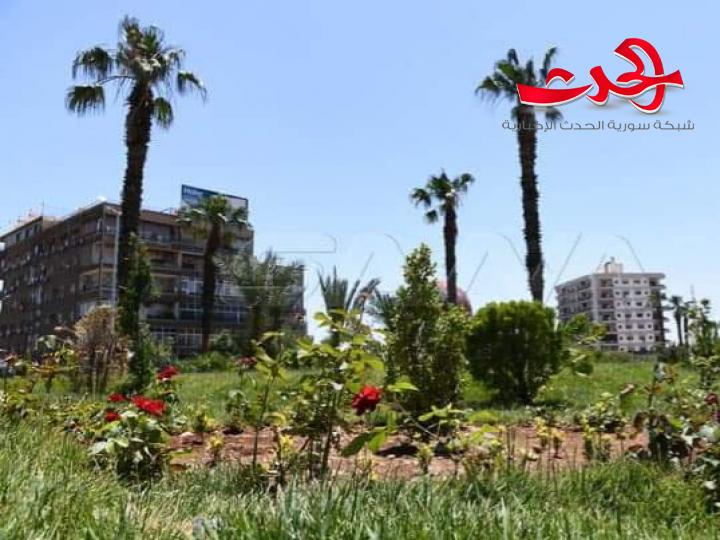 بالصور.. ساحة الميسات تنهي أعمال التأهيل والتجميل 
