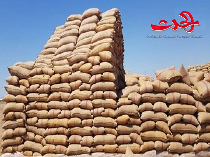 خلال ١٠ ايام.. باخرة محملة بأكياس الخيش لمزارعي القمح 