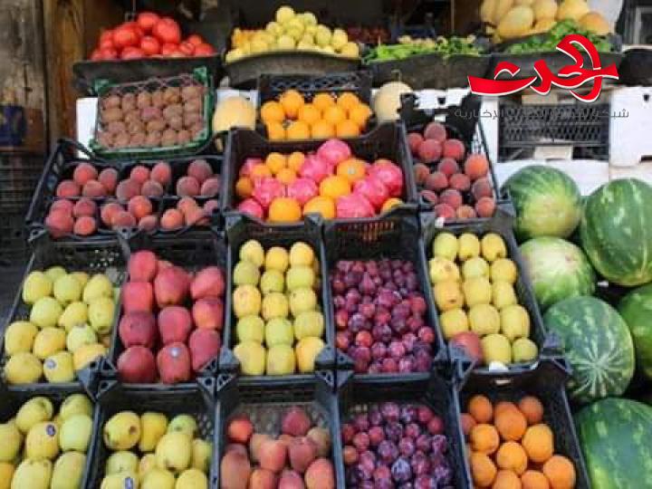 كشتو: التصدير سبب من اسباب الارتفاع ولا يجب المطالبة بإيقافه علينا ان نتحمل من اجل القطع الاجنبي